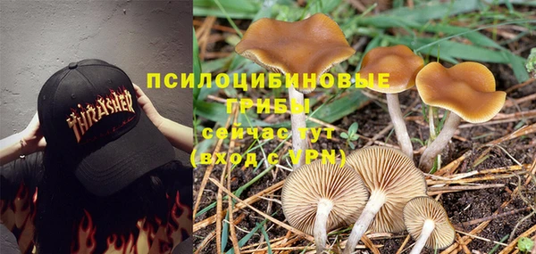 прущая мука Лихославль