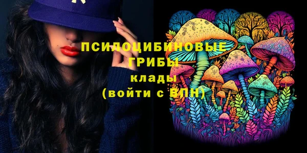 соль ск Лабытнанги