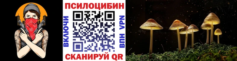 дарнет шоп  kraken вход  Псилоцибиновые грибы мухоморы  Владивосток 
