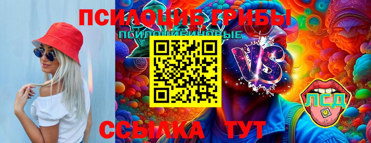 Галлюциногенные грибы Magic Shrooms Владивосток