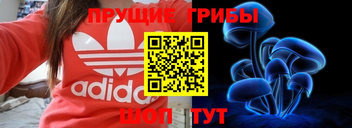Псилоцибиновые грибы Cubensis  Вход с VPN  Псилоцибиновые грибы прущие грибы  Владивосток 