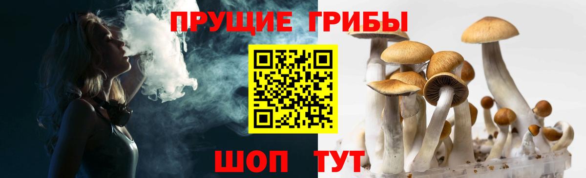 сколько стоит  Владивосток  Галлюциногенные грибы мицелий 